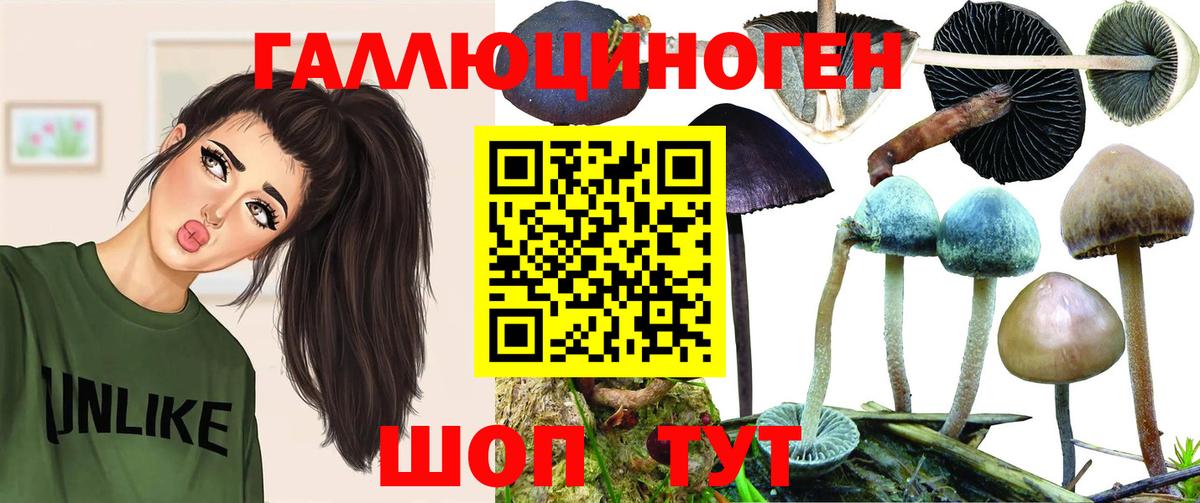 Псилоцибиновые грибы мухоморы Норильск