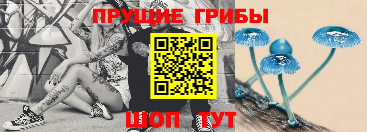 Норильск  Псилоцибиновые грибы GOLDEN TEACHER  Вход с VPN  Галлюциногенные грибы мухоморы 
